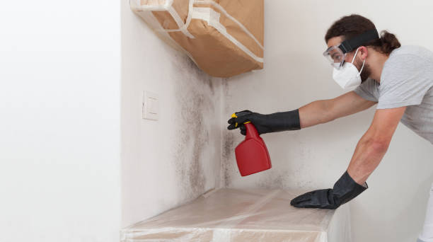 Professional Crawl Space Mold Remediation technician working in Chaska, MN