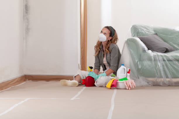 Reliable Crawl Space Mold Remediation contractor in Chaska, MN by 24 Hour Mold Removal